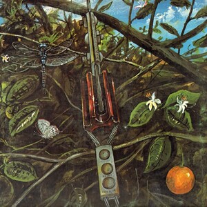 Dragonfly - Dragonfly, Cover